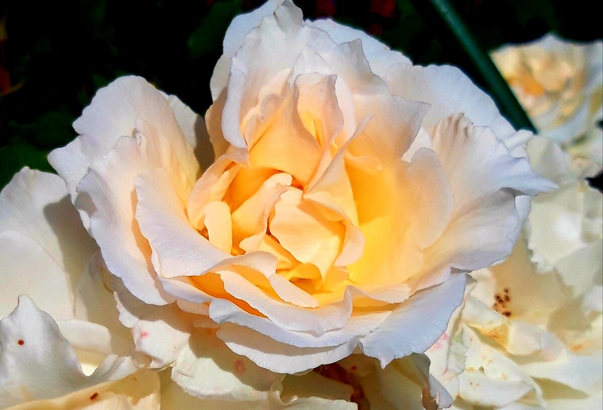 "Poustinia"великолепна.