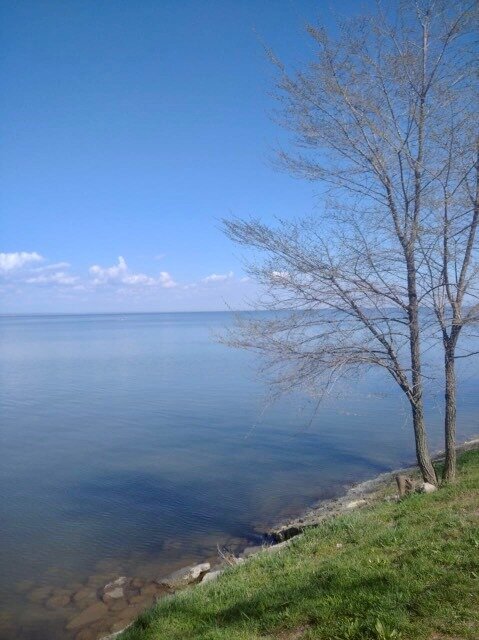 Море в Таганроге. Фото  07.04.24