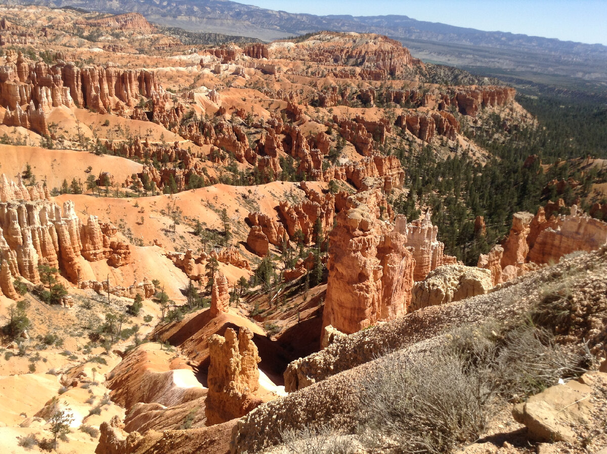 Фото из личного архива