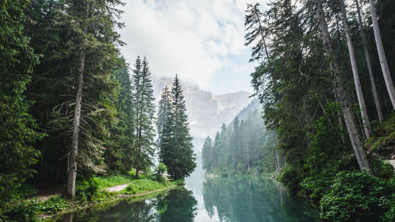     Река, вода, озеро, река в горах, озеро в лесу. unsplash.com.