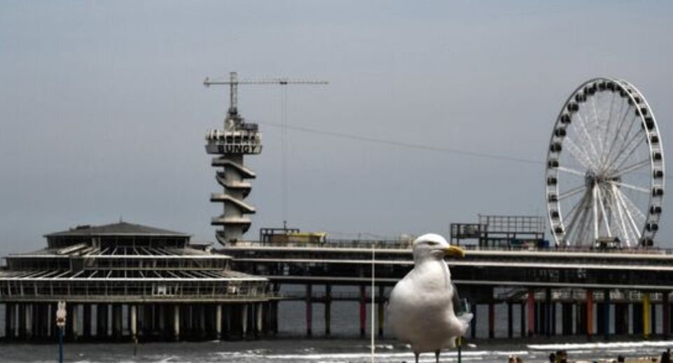    РИА «Новости»