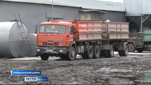 Хозяйствам Алтайского края остро не хватает водителей грузовиков с прицепом