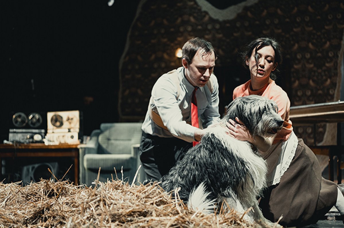    «Собачье сердце» без «абырвалг».