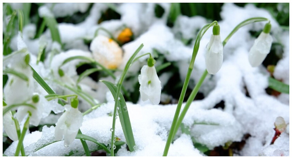 Фото: freepik.com/author/wirestock