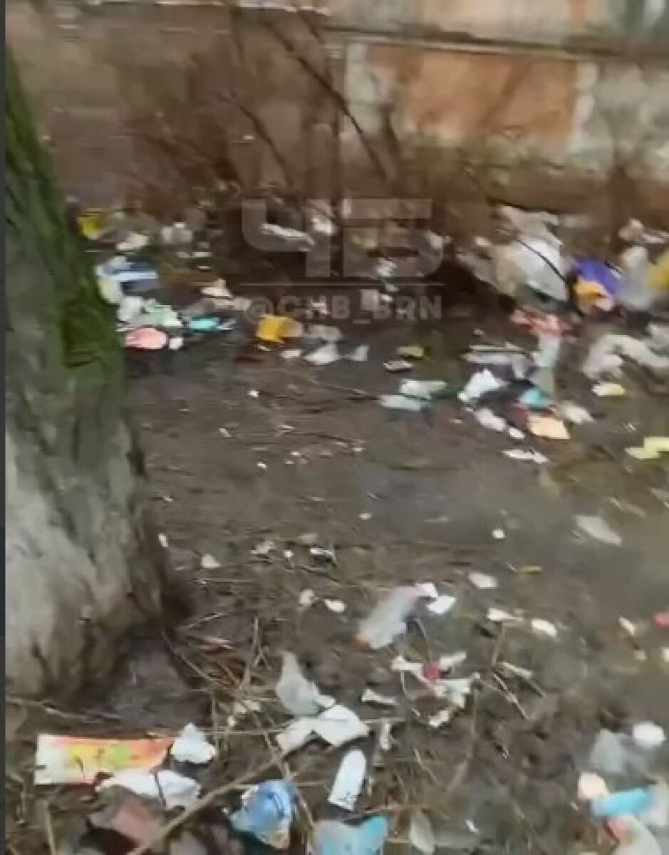    Мусор на Чеглецова. Источник: t.me/chb_brn