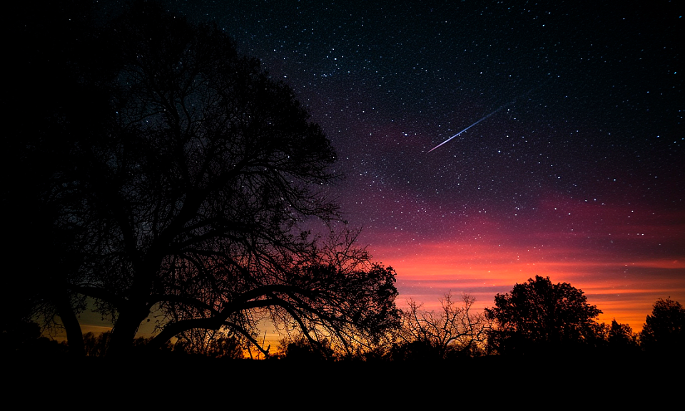 Фото с сайта vecteezy.com