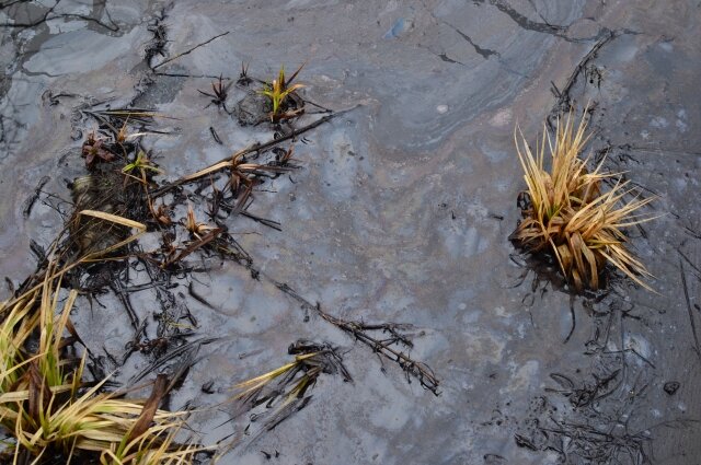    Люди считают, что в загрязнении виновато местное деревообрабатывающее предприятие «Вятлеспром». Фото: личный архив/ Ангелина Свинина