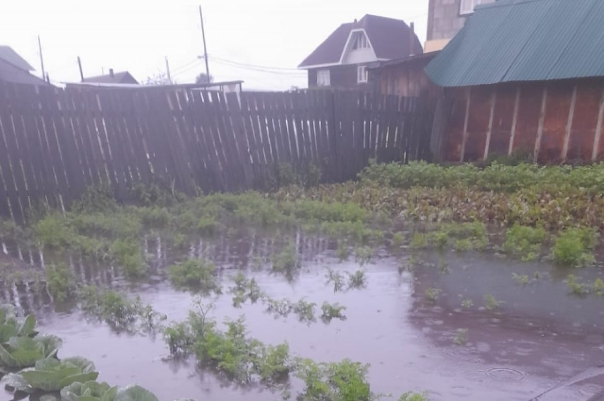    Из-за регулярных подтоплений держать огороды становится бессмысленно.