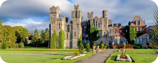 Забронировать