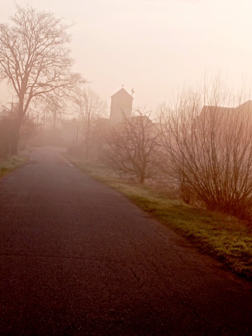 Фото: адаптация в эмиграции, прошел год, психолог Екатерина Кастрицкая