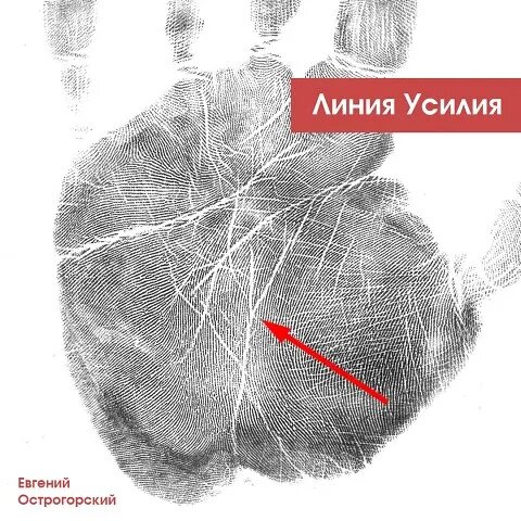 Линия усилий. https://m.ok.ru/professorhiro/topic/69636861821042