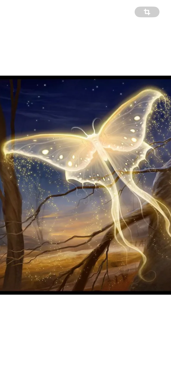 🦋🦋🦋🦋🦋🦋🦋🦋🦋🦋🦋🦋🦋🦋🦋🦋🦋🦋