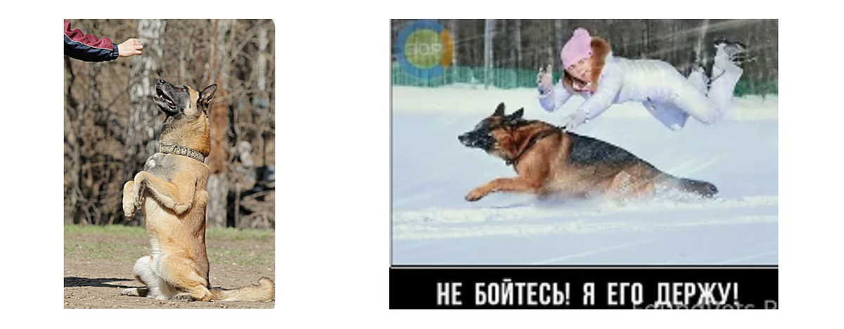 Представили картину?