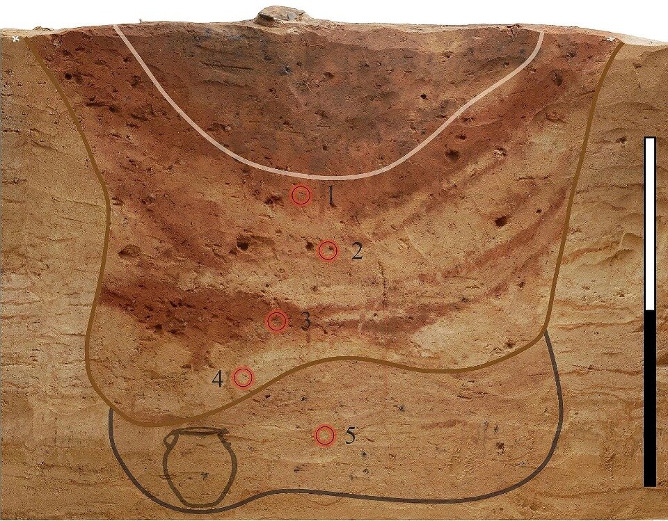   Bogumiła Wolska et al. / Archaeological and Anthropological Sciences, 2024
