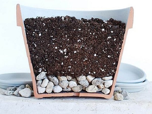 Дренажный материал в горшке.