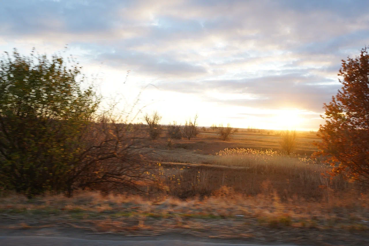 Авторское фото волгоградского ученого и фотографа Елены Попковой: https://www.saatchiart.com/account/artworks/1599809