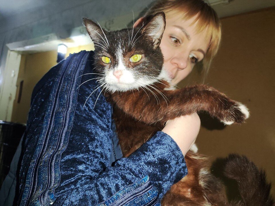    Животных несут день и ночь Николай Сальников