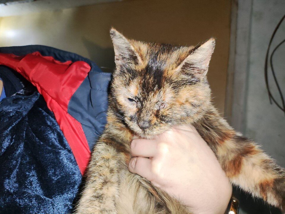    Многие ранены, выжили чудом Николай Сальников