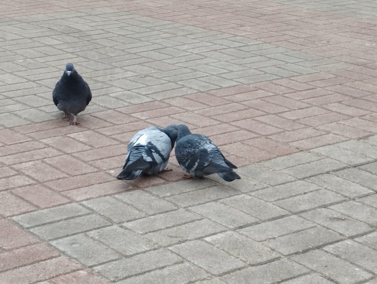 Фото автора канала. 