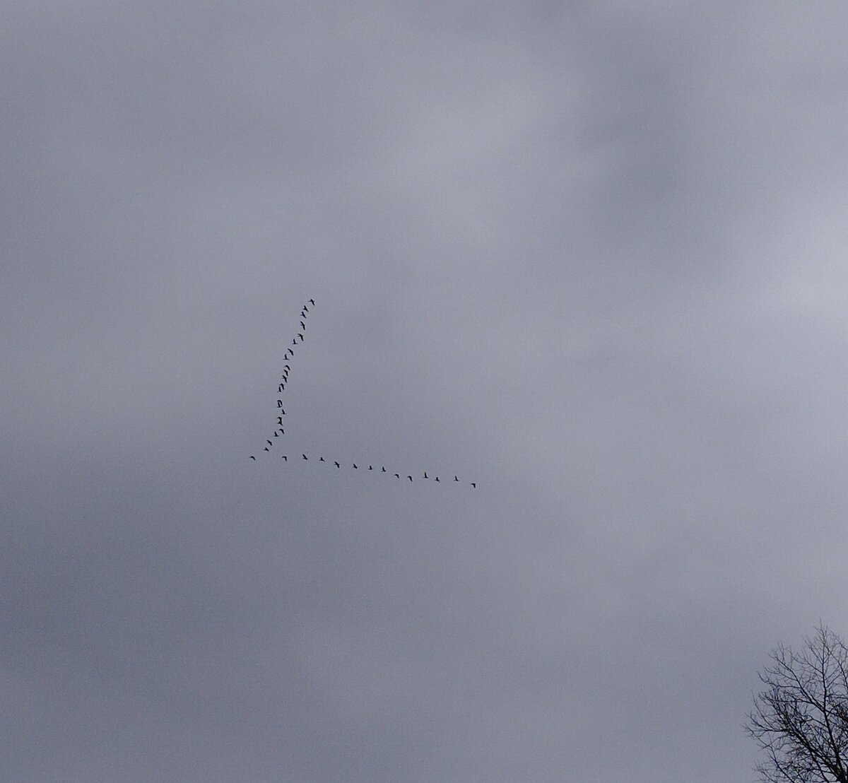 Фото автора канала. 