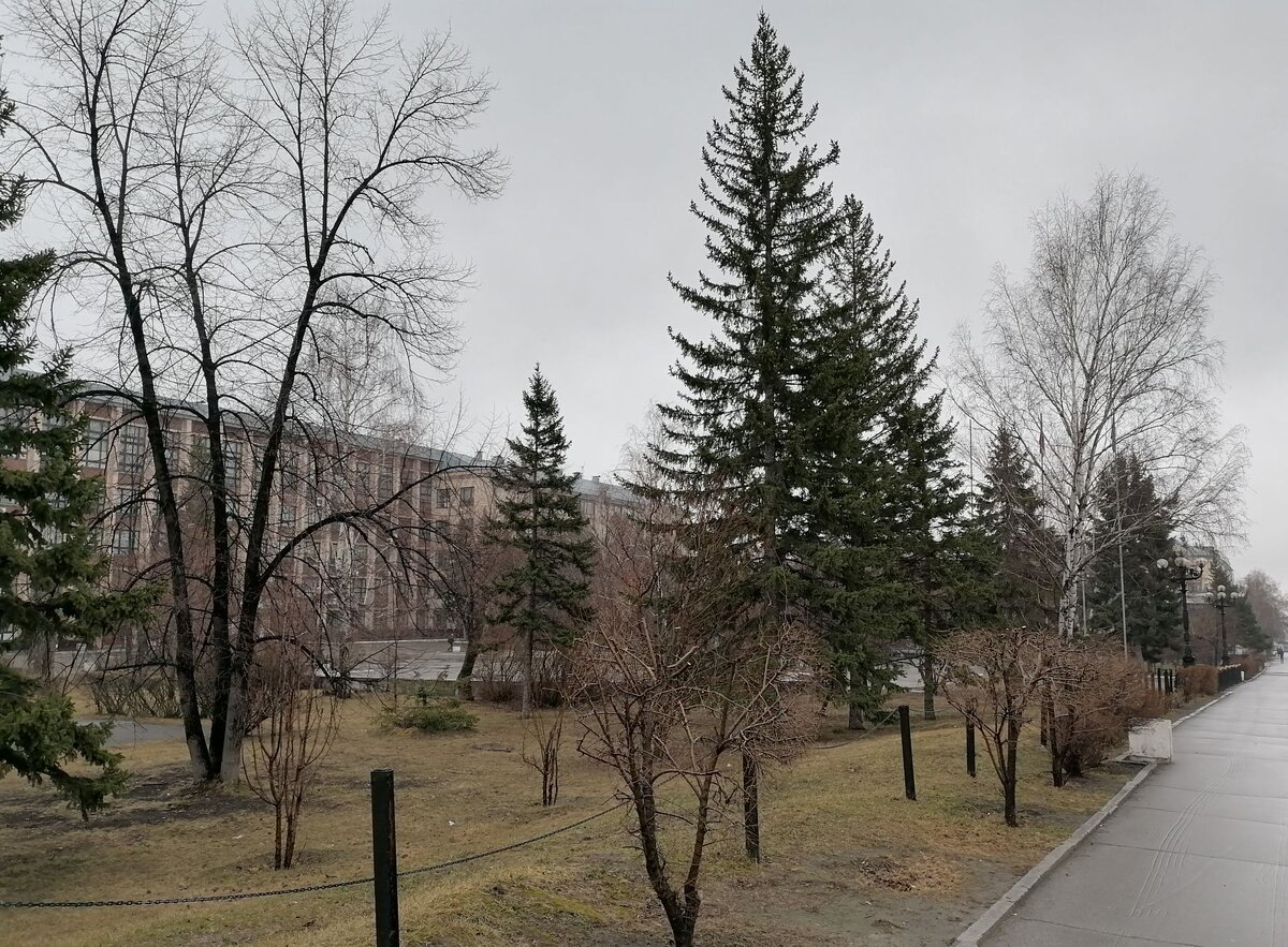 На улице пасмурно и сыро