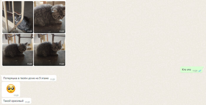 Листайте вправо, чтобы увидеть больше изображений