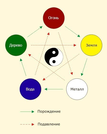 на рисунке зелёными стрелочками указан принцип порождения, красной прерывистой стрелочкой принцип контроля (подавления)