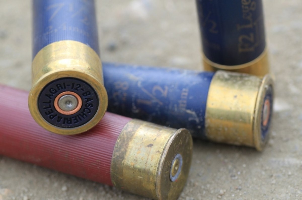    Жаль, нет ружья: после заявления тещи о краже у зятя нашли патроны и порох