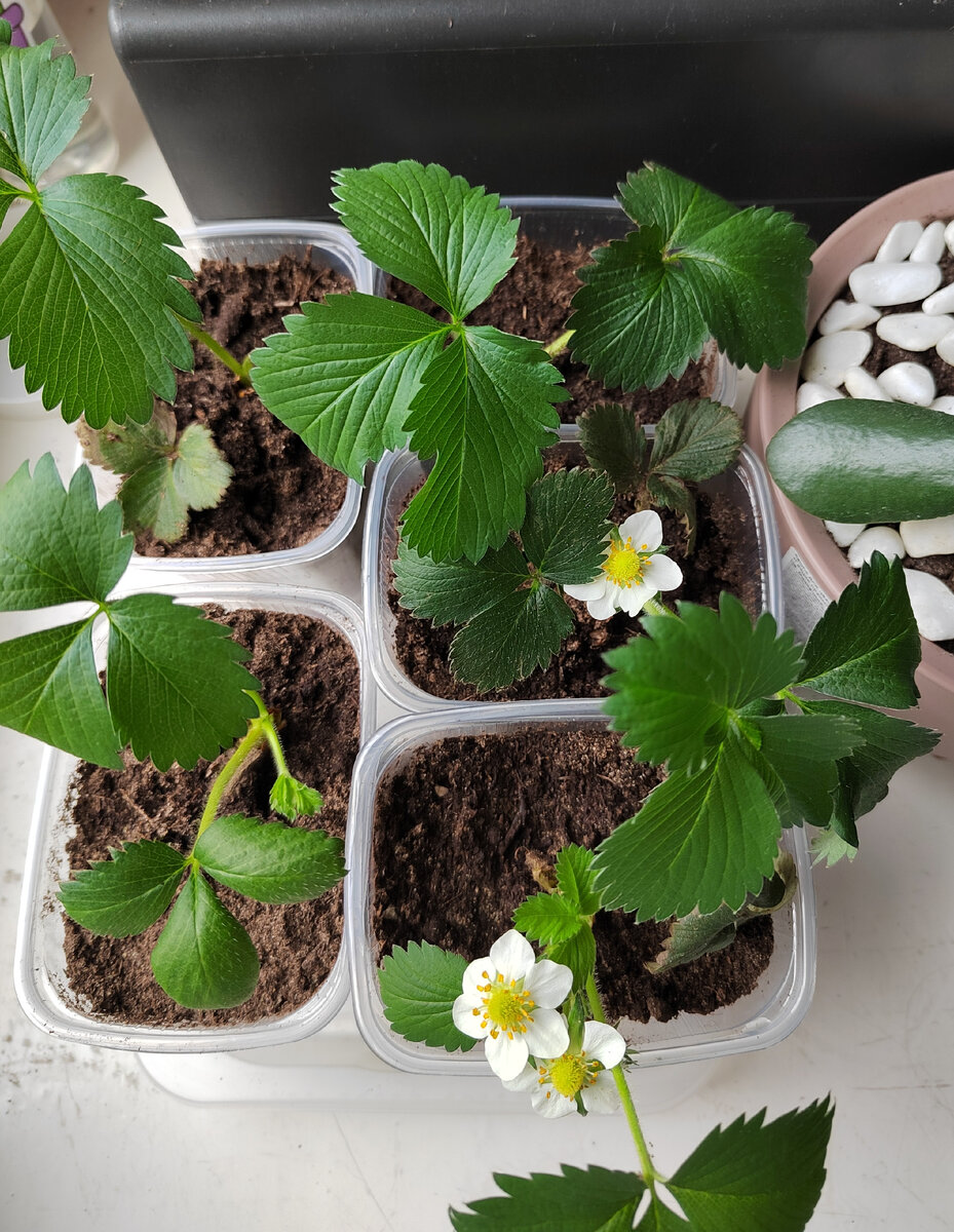 Вчерашнее фото