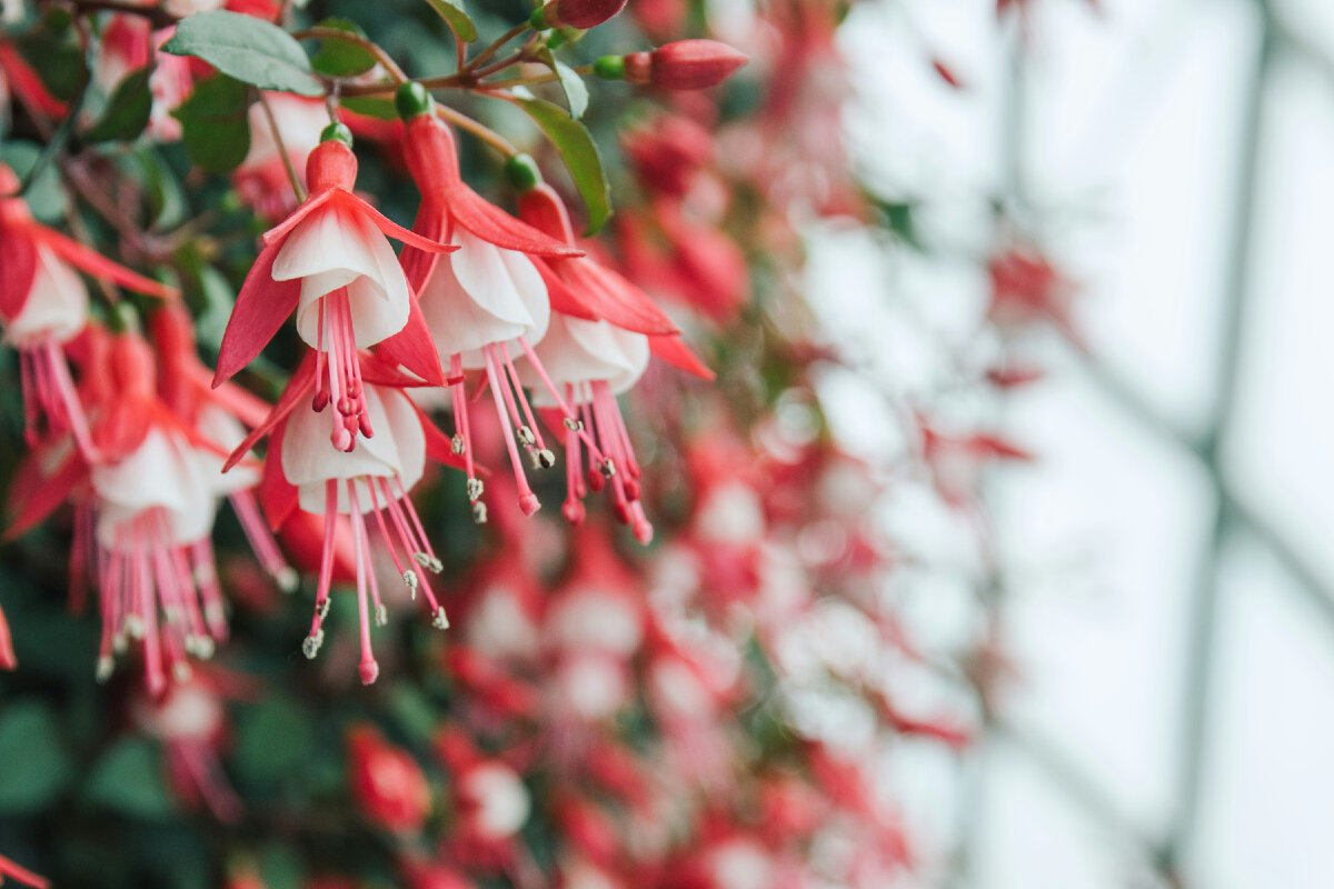 Картинка с бесплатного фотостока https://unsplash.com, автор Neil Daftary