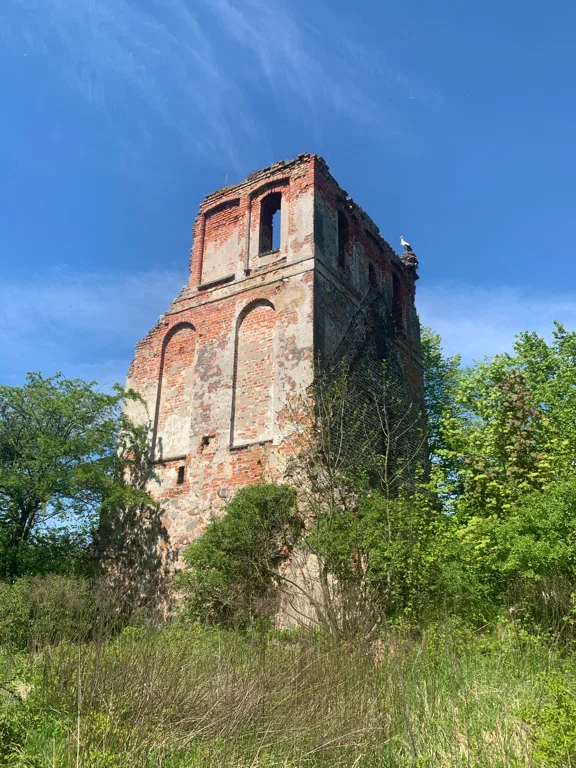 Фото; Леся С. Яндекс картинки