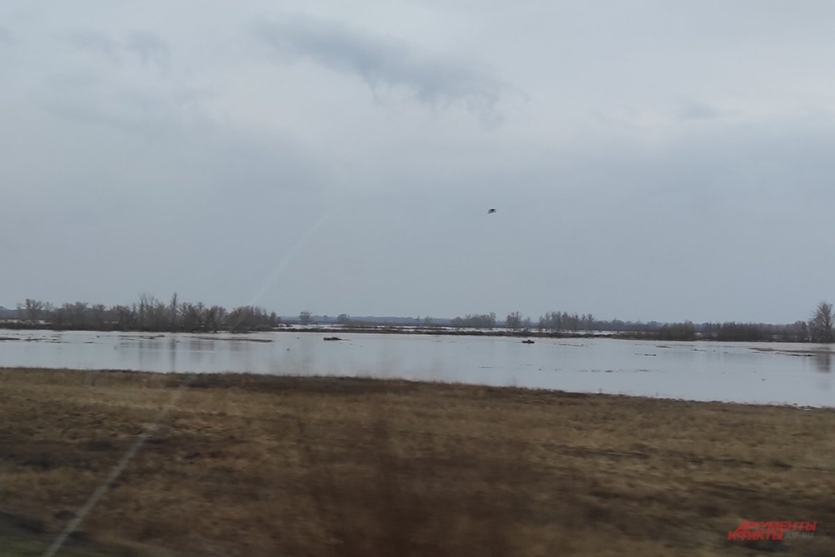    «Мы — часть дикой природы».