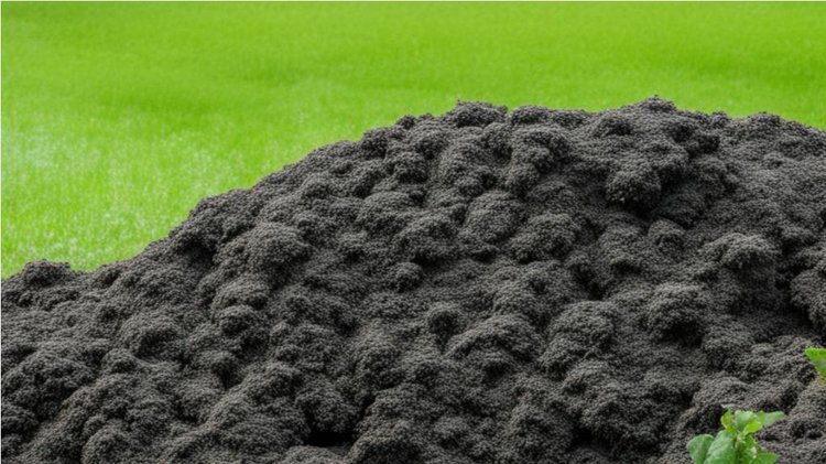    Опасность органических удобрений: в каких случаях они могут быть вредными, а не полезными