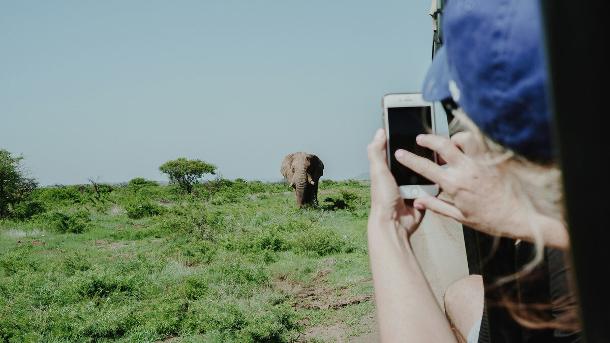 Сейчас значение слова расширилось, и теперь сафари — это экскурсии в дикую природу Африки для наблюдения за животными в естественной среде обитания, говоря простыми словами. Фото: unsplash.com