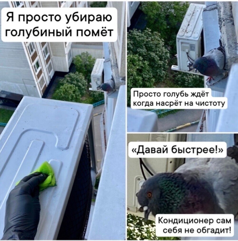 Источник: userapi.com