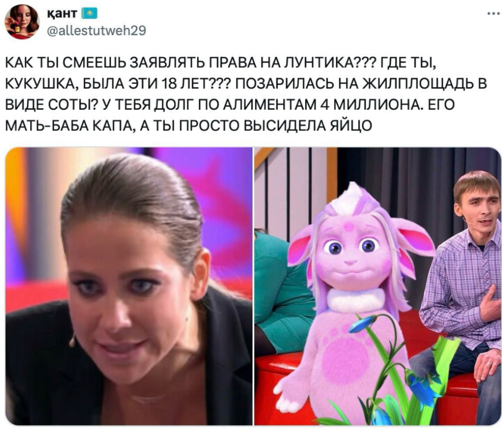 Алименты будут?”: пользователи Twitter очень удивились узнав, что у Лунтика  есть мать | Fishki.Net | Дзен