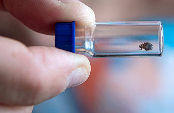    dpa/picture-alliance