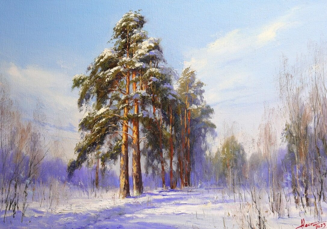 Сосны. Масло. 50 х 70 см