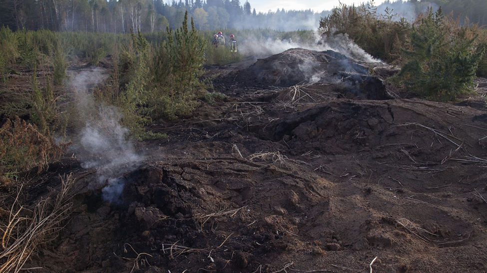 Насчет этого печального «лектинного» предопределения есть вопросы и важные уточнения, однако вполне можно просто принять эмоционально эту «картину», которая вполне может вдохновить на самостоятельную работу.