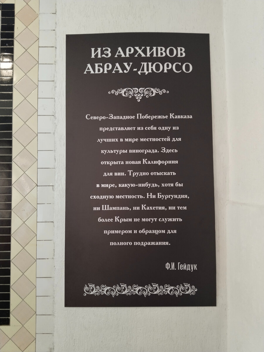 Живи легко с Абрау-Дюрсо путешествие в один день | И ВСЁ-ТАКИ ЖИТЬ ХОРОШО  🐬 | Дзен