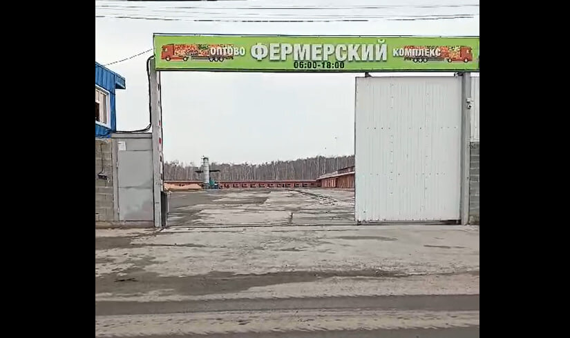Скандальный рынок в Кременкуле закрывали после возбуждения уголовных дел. Фото: скриншот видео.