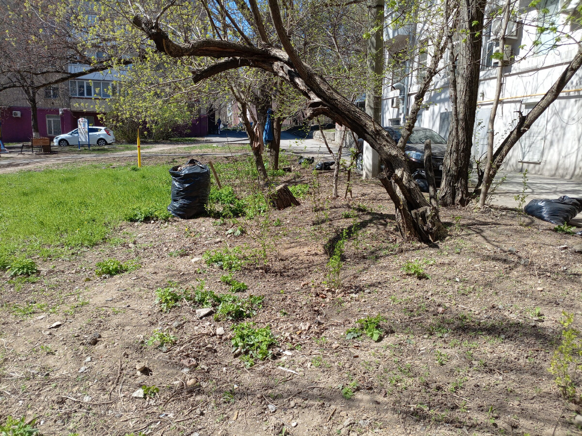 Теперь у нас во дворе чисто