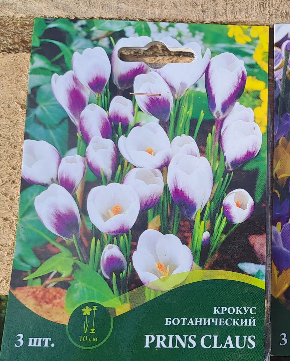 Упаковка из Фикс прайса (фото автора)