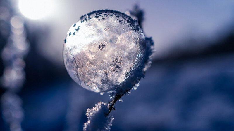     Мороз. Иней СС0