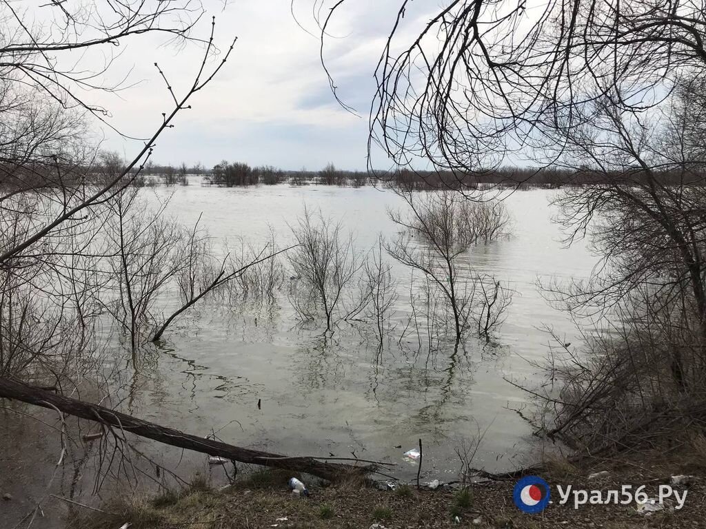 Паводок в Новотроицке: подтоплены дома, санаторий и часть городского парка  | Урал56.Ру | Оренбург, Орск - главные новости | Дзен