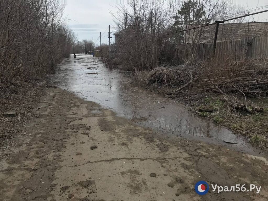 Паводок в Новотроицке: подтоплены дома, санаторий и часть городского парка  | Урал56.Ру | Оренбург, Орск - главные новости | Дзен