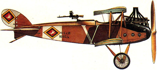 Самолет LVG C-V в польском камуфляже. Рисунок