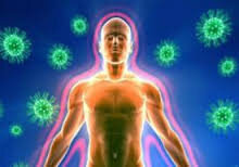 Иммунитет – это способность нашей иммунной системы избавить, освободить организм от чужеродных для него клеток: бактерий, вирусов, грибов, а также от мутационно измененных собственных клеток (раковых).