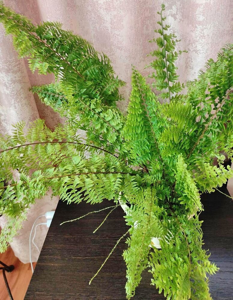 Фото: freepik.com  📷
