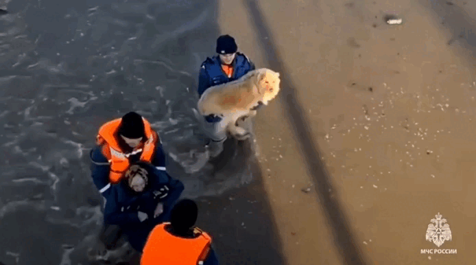    Никого не оставить без помощи - вот задача МЧС России. Фото: МЧС России